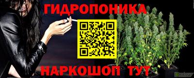 сатива Изобильный