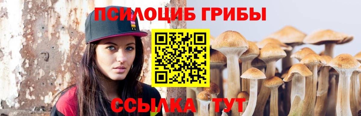 что такое наркотик  Вход с VPN  Тосно  Псилоцибиновые грибы MAGIC MUSHROOMS 